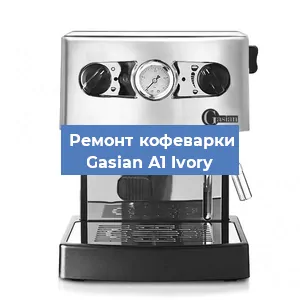 Чистка кофемашины Gasian А1 Ivory от накипи в Воронеже